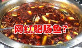 肥肠爆料事件视频完整版,视频完整版揭秘惊人内幕